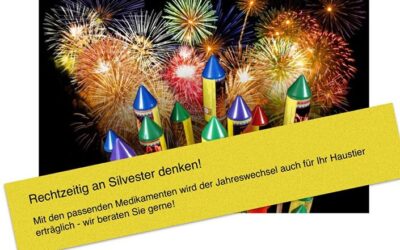 Rechtzeitig an Silvester denken!